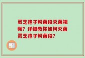 灵芝孢子粉菌段灭菌视频？详细教你如何灭菌灵芝孢子粉菌段？
