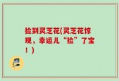 捡到灵芝花(灵芝花惊现，幸运儿“捡”了宝！)
