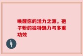 唤醒你的活力之源，孢子粉的独特魅力与多重功效