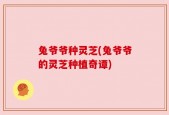 兔爷爷种灵芝(兔爷爷的灵芝种植奇谭)