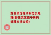 野生灵芝孢子粉怎么处理(野生灵芝孢子粉的处理方法介绍)