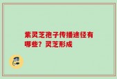 紫灵芝孢子传播途径有哪些？灵芝形成