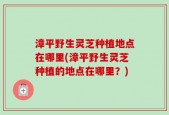 漳平野生灵芝种植地点在哪里(漳平野生灵芝种植的地点在哪里？)