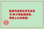 狐狸为报恩捡灵芝送男子(男子受狐狸恩情，草原上以命相报)