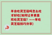 羊会吃灵芝菇吗怎么吃才好吃(如何让羊更喜欢吃灵芝菇？——羊吃灵芝菇技巧分享)