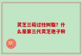 灵芝三萜过柱树脂？什么是第三代灵芝孢子粉