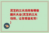 灵芝的三大功效有哪些图片大全(灵芝的三大功效，让你受益无穷！)