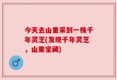 今天去山里采到一株千年灵芝(发现千年灵芝，山里宝藏)