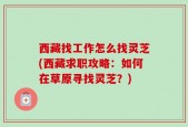 西藏找工作怎么找灵芝(西藏求职攻略：如何在草原寻找灵芝？)