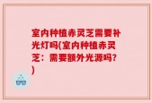 室内种植赤灵芝需要补光灯吗(室内种植赤灵芝：需要额外光源吗？)