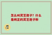 怎么叫灵芝孢子？什么是纯正的灵芝孢子粉