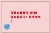 何首乌黑灵芝 撒(何首乌黑灵芝：养生佳品)