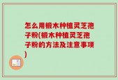 怎么用椴木种植灵芝孢子粉(椴木种植灵芝孢子粉的方法及注意事项)