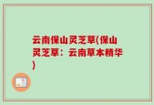 云南保山灵芝草(保山灵芝草：云南草本精华)