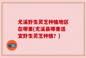 尤溪野生灵芝种植地区在哪里(尤溪县哪里适宜野生灵芝种植？)