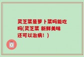 灵芝菜是萝卜菜吗能吃吗(灵芝菜 新鲜美味还可以治病！)