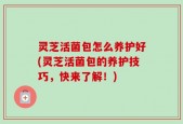 灵芝活菌包怎么养护好(灵芝活菌包的养护技巧，快来了解！)