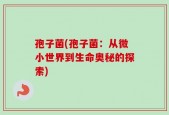 孢子菌(孢子菌：从微小世界到生命奥秘的探索)