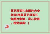灵芝风筝礼盒图片大全高清(精美灵芝风筝礼盒图片集锦，赏心悦目，视觉盛宴！)