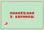 药材白肉灵芝(白肉灵芝：名贵药材的珍品)