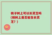 桃子树上可以长灵芝吗(桃树上是否能生长灵芝？)