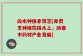段木种植赤灵芝(赤灵芝种植在段木上，助推中药材产业发展)