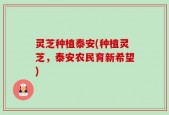 灵芝种植泰安(种植灵芝，泰安农民育新希望)