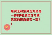 黑灵芝和紫灵芝外形是一样的吗(黑灵芝与紫灵芝的形态是否一致？)