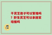 干灵芝孢子可以繁殖吗？野生灵芝可以拿回家培植吗