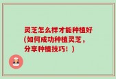 灵芝怎么样才能种植好(如何成功种植灵芝，分享种植技巧！)
