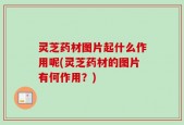 灵芝药材图片起什么作用呢(灵芝药材的图片有何作用？)