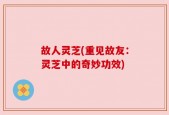 故人灵芝(重见故友：灵芝中的奇妙功效)