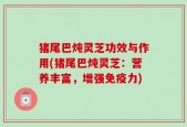 猪尾巴炖灵芝功效与作用(猪尾巴炖灵芝：营养丰富，增强免疫力)