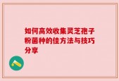 如何高效收集灵芝孢子粉菌种的佳方法与技巧分享