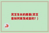 灵芝生长的原基(灵芝是如何萌发成苗的？)
