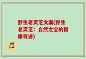 野生老灵芝文案(野生老灵芝：自然之宝的健康奇迹)