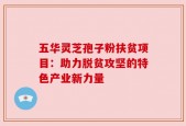 五华灵芝孢子粉扶贫项目：助力脱贫攻坚的特色产业新力量