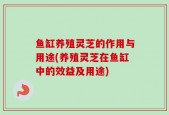 鱼缸养殖灵芝的作用与用途(养殖灵芝在鱼缸中的效益及用途)