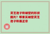 灵芝孢子粉破壁的形状图片？哪里买破壁灵芝孢子粉最正宗