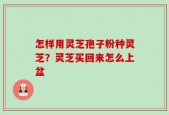 怎样用灵芝孢子粉种灵芝？灵芝买回来怎么上盆