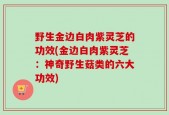 野生金边白肉紫灵芝的功效(金边白肉紫灵芝：神奇野生菇类的六大功效)