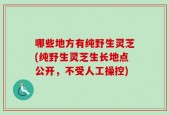 哪些地方有纯野生灵芝(纯野生灵芝生长地点公开，不受人工操控)