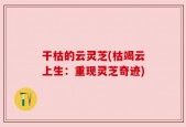 干枯的云灵芝(枯竭云上生：重现灵芝奇迹)