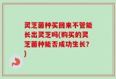 灵芝菌种买回来不管能长出灵芝吗(购买的灵芝菌种能否成功生长？)