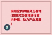 南阳室内种植灵芝基地(南阳灵芝基地进行室内种植，助力产业发展)