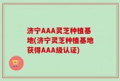 济宁AAA灵芝种植基地(济宁灵芝种植基地获得AAA级认证)
