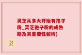 灵芝从多大开始有孢子粉_灵芝孢子粉的成熟期及其重要性解析)