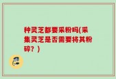 种灵芝都要采粉吗(采集灵芝是否需要将其粉碎？)