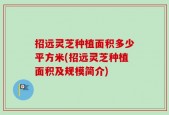 招远灵芝种植面积多少平方米(招远灵芝种植面积及规模简介)