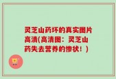 灵芝山药坏的真实图片高清(高清图：灵芝山药失去营养的惨状！)